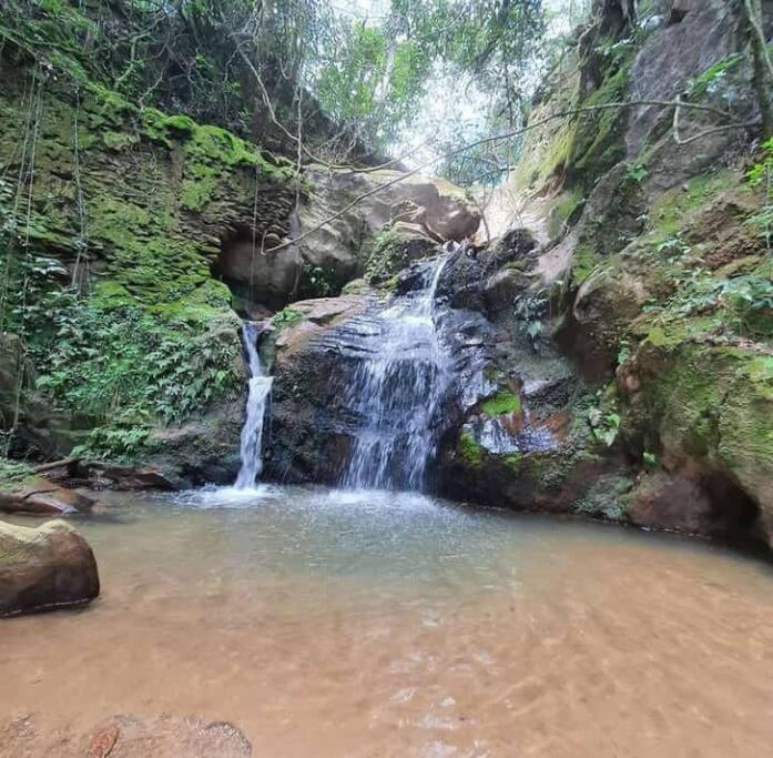 Chale Aconchegante Em Estancia Climatica Santo Antônio do Leite エクステリア 写真