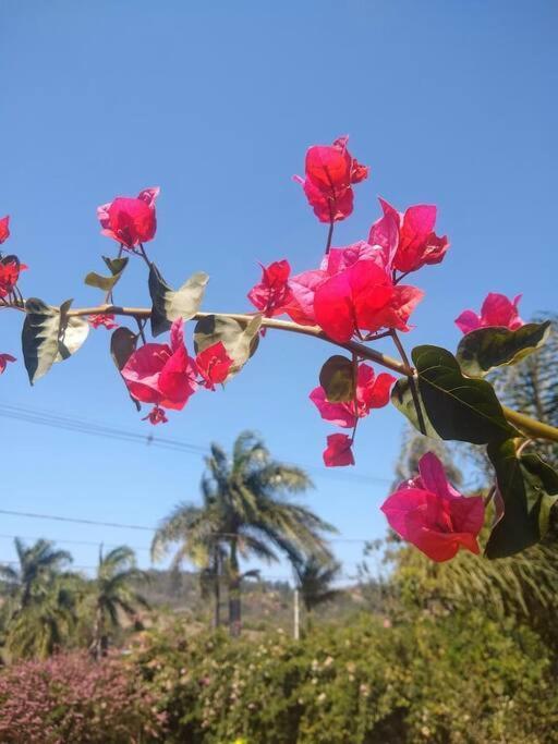 Chale Aconchegante Em Estancia Climatica Santo Antônio do Leite エクステリア 写真