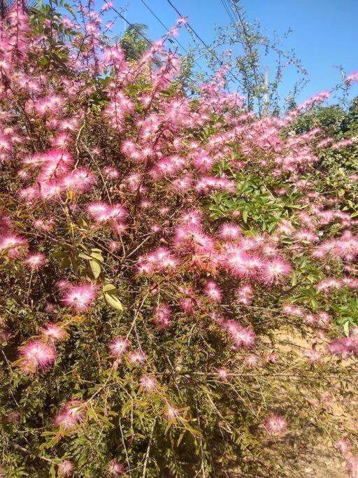Chale Aconchegante Em Estancia Climatica Santo Antônio do Leite エクステリア 写真