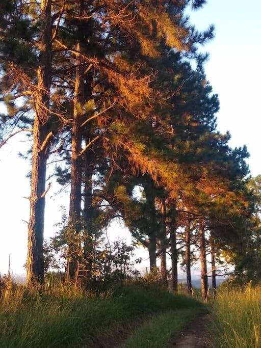 Chale Aconchegante Em Estancia Climatica Santo Antônio do Leite エクステリア 写真
