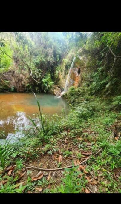 Chale Aconchegante Em Estancia Climatica Santo Antônio do Leite エクステリア 写真